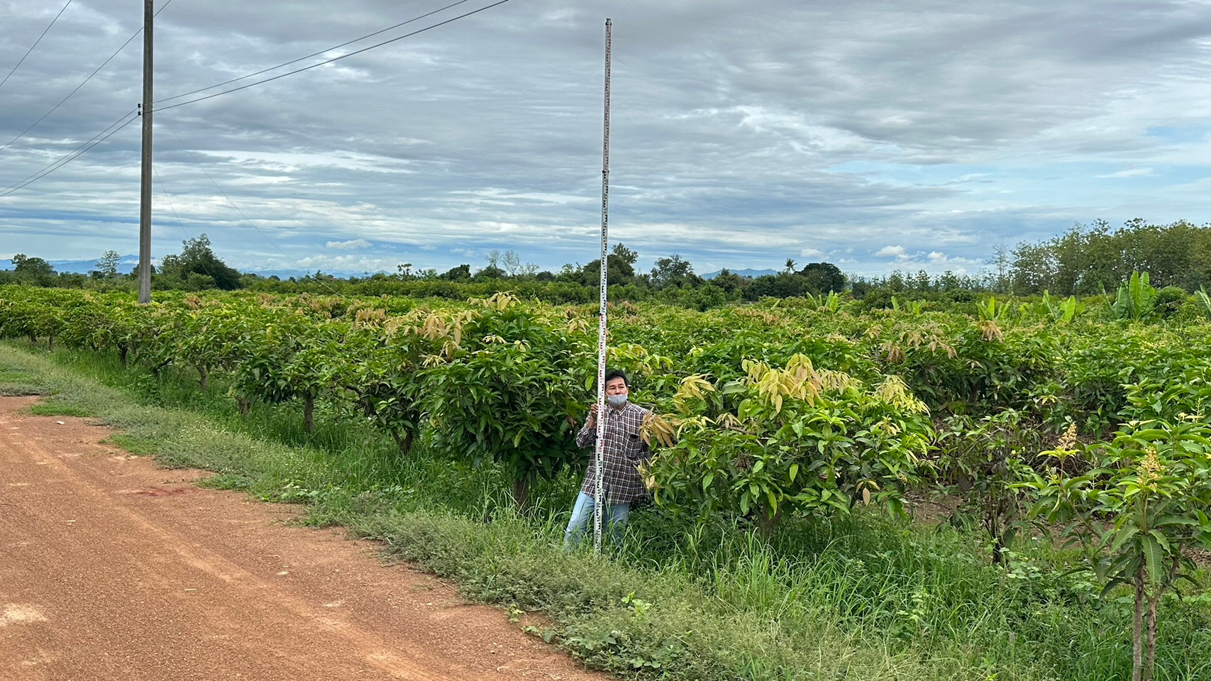 title - สำรวจความเหมาะสมงานพัฒนาโครงสร้างพื้นฐานทางคมนาคมในเขตปฏิรูปที่ดินจังหวัดสุโขทัย